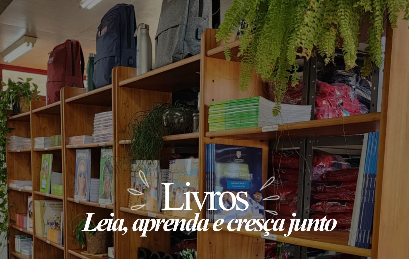 bnrLivros